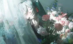 Featured image of post Arch Linux的安装流程与常用配置